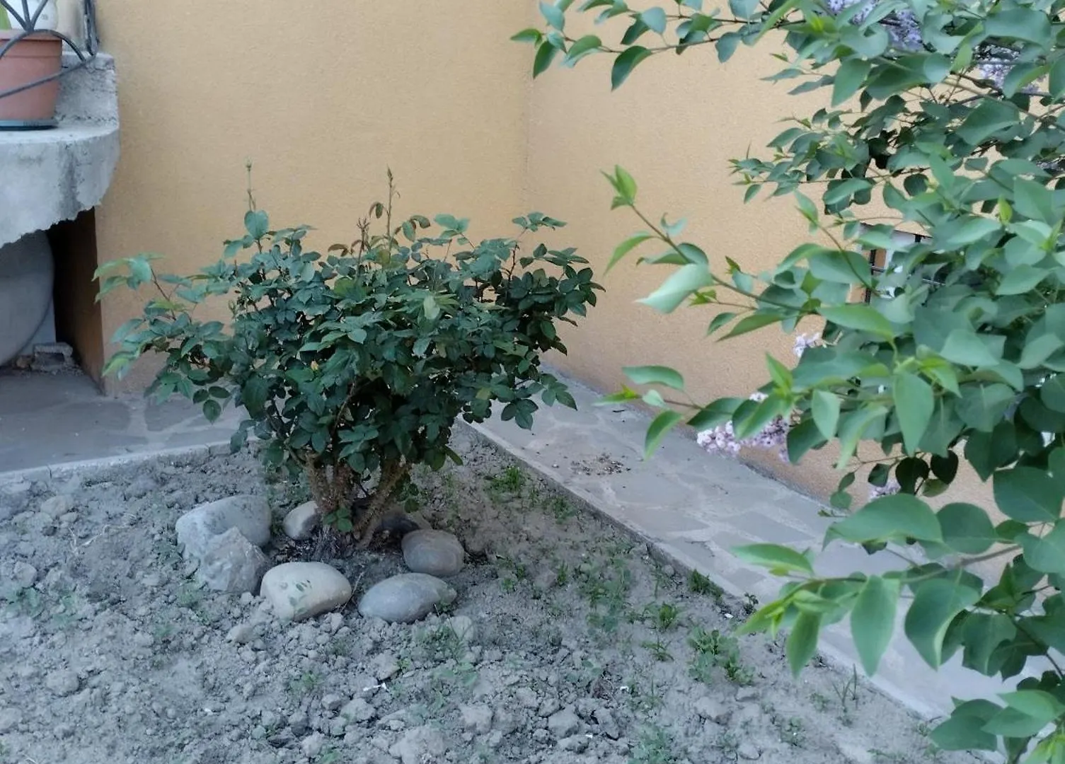 Eka,S Hotel In Ortachala Tbilisi